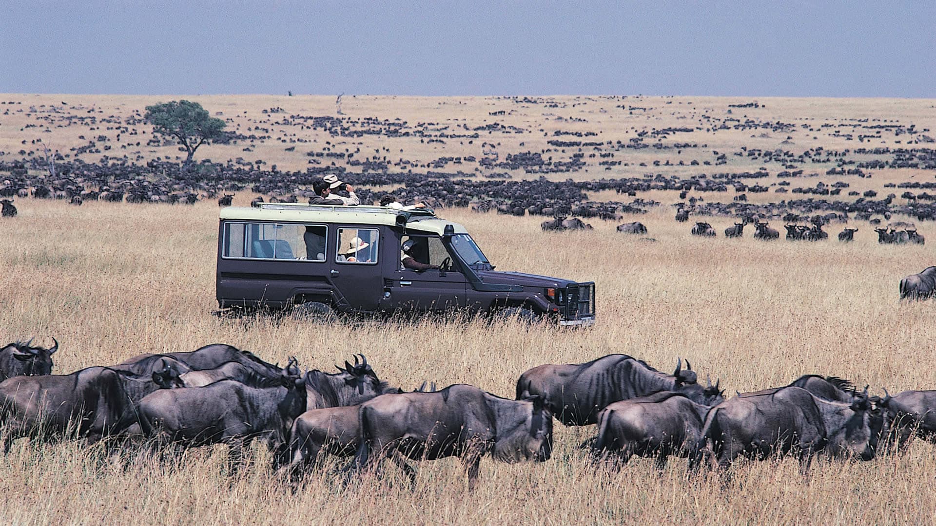 3 Days, 2 Nights Maasai Mara Safari